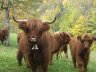 Herbstzauber - 