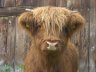 Alles klar? - 